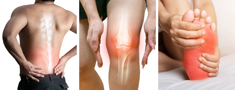 Joint treatment of hondrolife