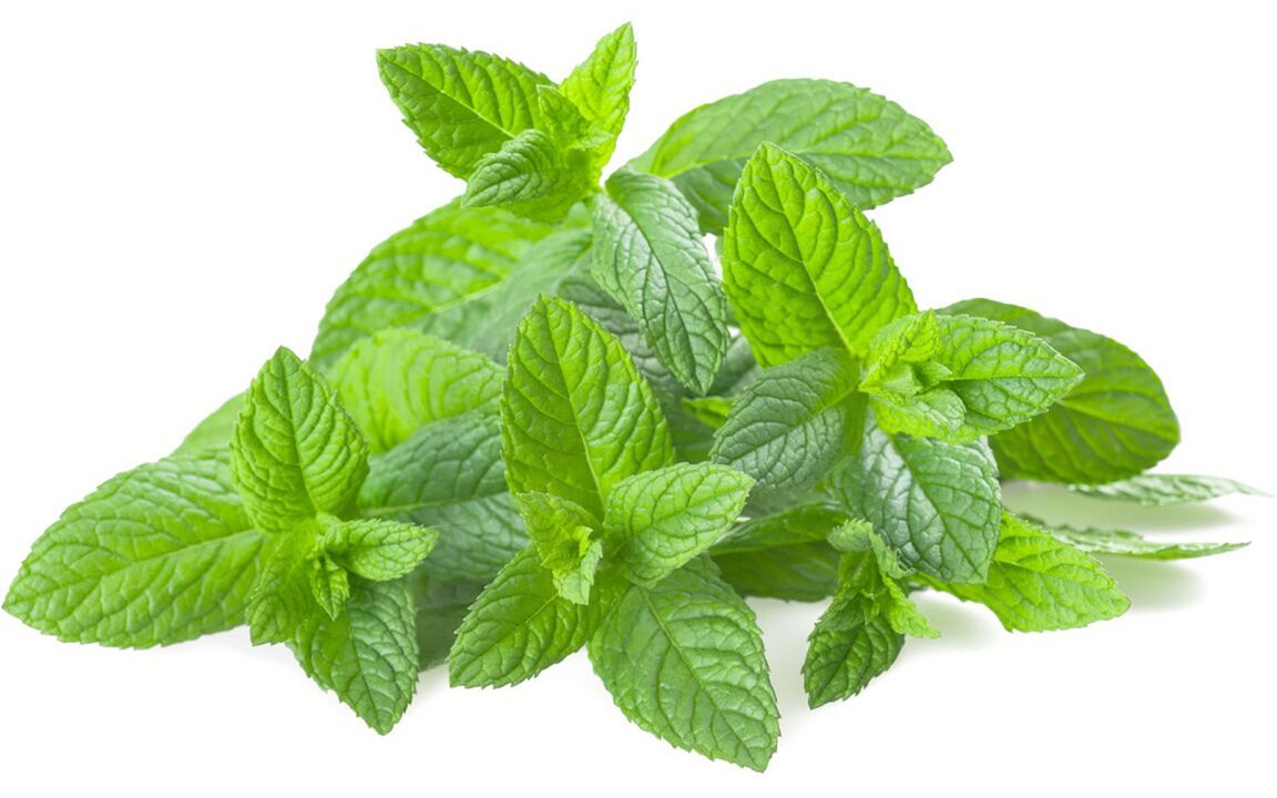 Mint oil in chondrolife