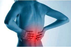 Site of osteochondrosis of the spine